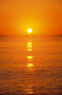 Chhāṇdogya Upanishad | English Classic